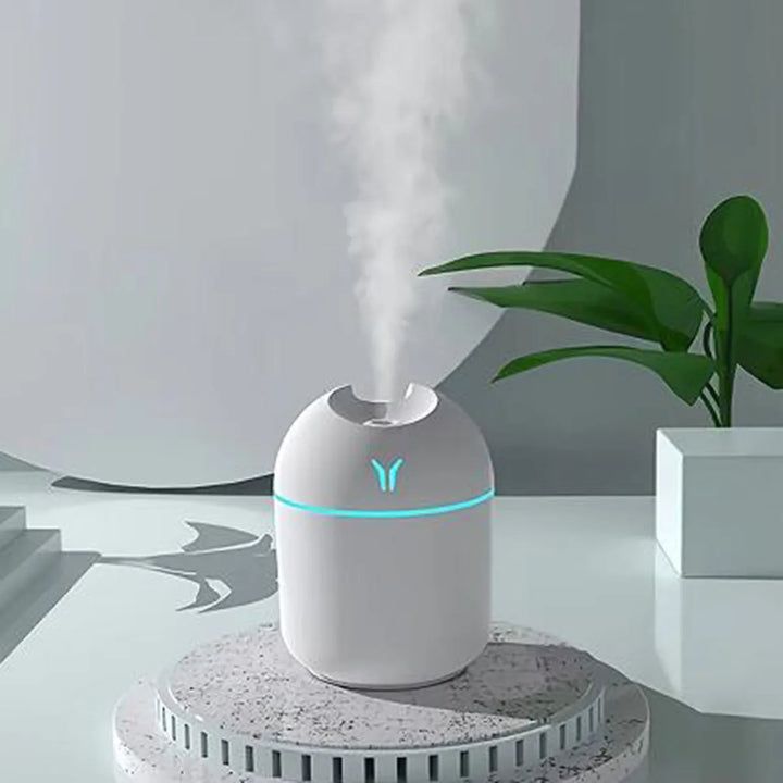 250ml Mini Cup Spray Mist humidifier