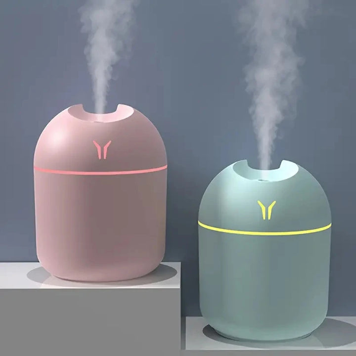 250ml Mini Cup Spray Mist humidifier