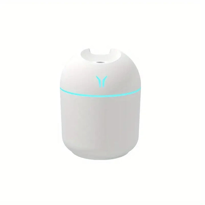 250ml Mini Cup Spray Mist humidifier